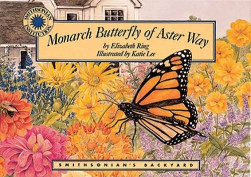Monarch butterfly aster way - monarch,
